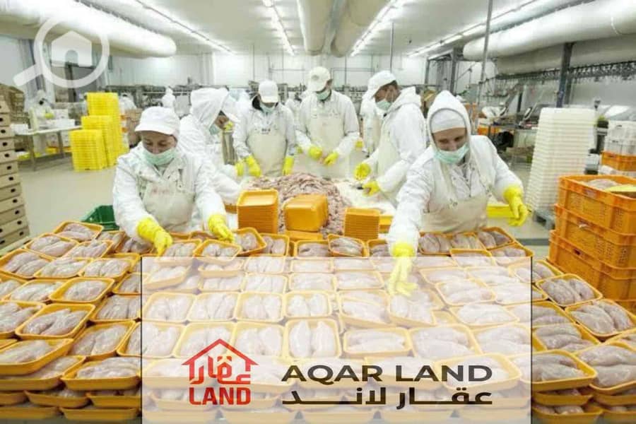 5e18f7a5-535f-4466-bb12-31c49e9919c6. jpg 5e18f7a5-535f-4466-bb12-31c49e9919c6. jpg