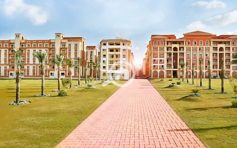 شقة 2 غرفة نوم للبيع في 6 أكتوبر، الجيزة - 473-1-1. png شقة 2 غرفة نوم للبيع في 6 أكتوبر، الجيزة - 473-1-1. png