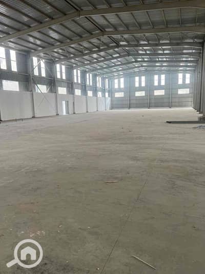Factory for Rent in 10th of Ramadan, Sharqia - 4aebb9c3-5a7d-47b5-9ae8-125aa0164469. jpg