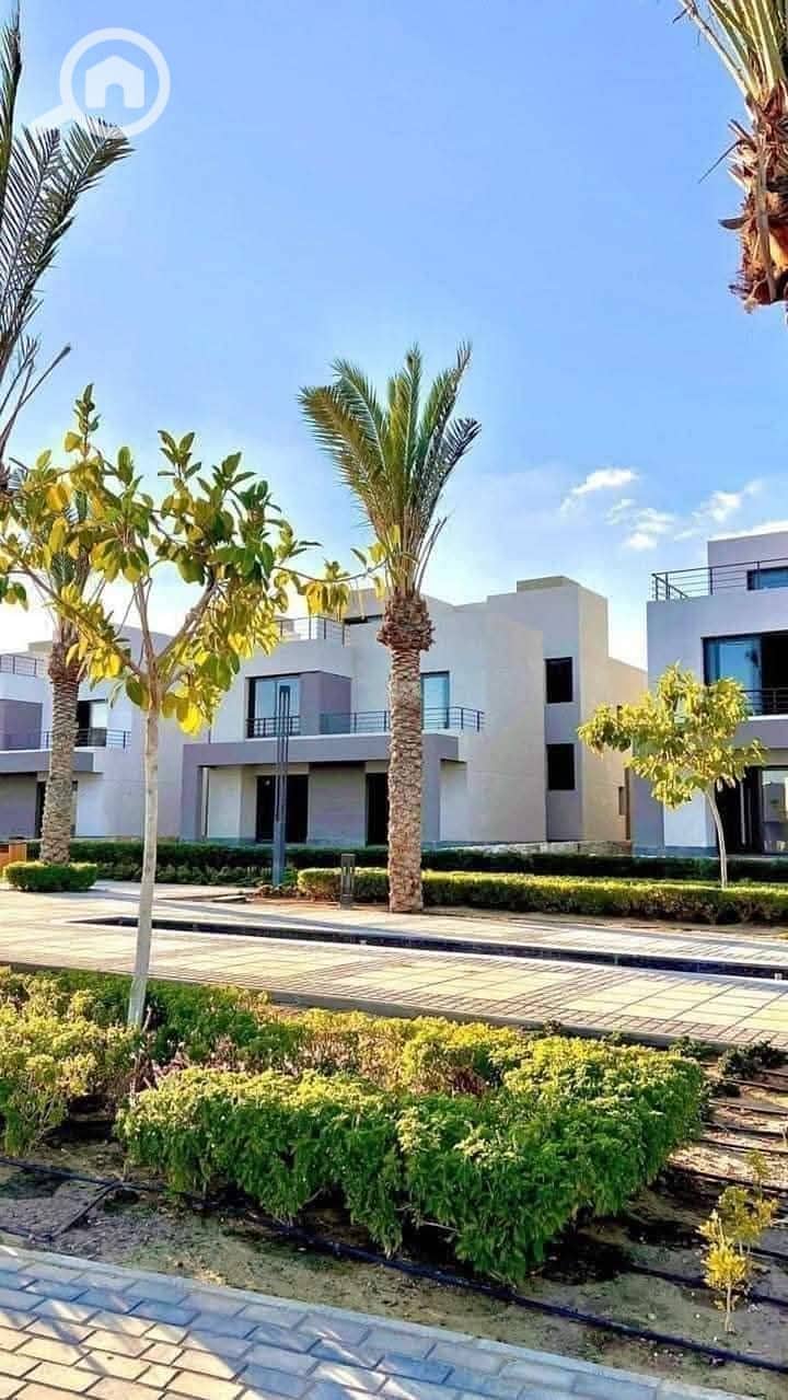 4 photo_2025-01-20_20-57-24. jpg