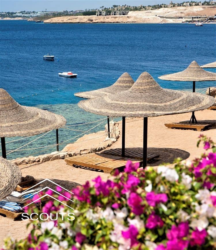 7 18eaa7eee8090e33737ed338a63df926. jpg