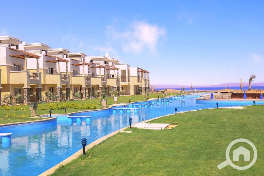 3 photo_2025-02-19_21-50-43. jpg