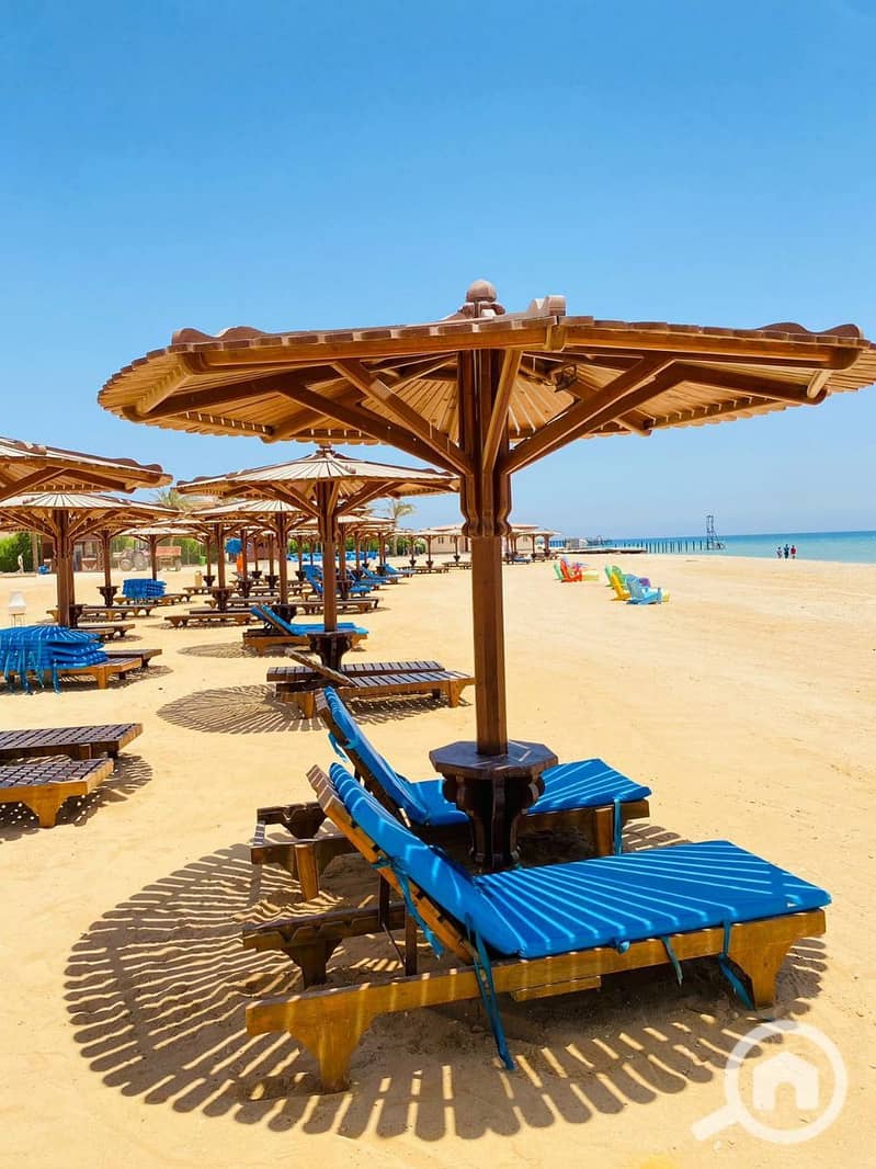 8 photo_2025-02-01_17-18-54. jpg