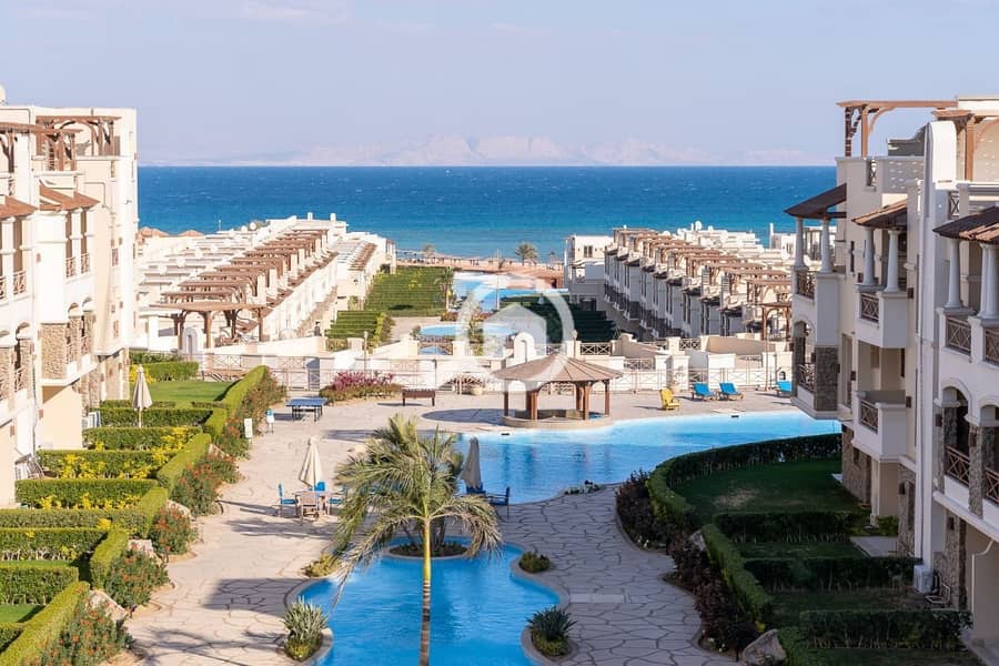 9 photo_2025-02-19_21-50-19. jpg