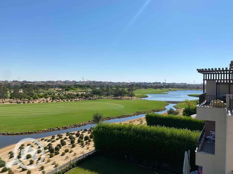 12 1771ecbe-5934-4881-a62b-891ec4bf3432. jpg