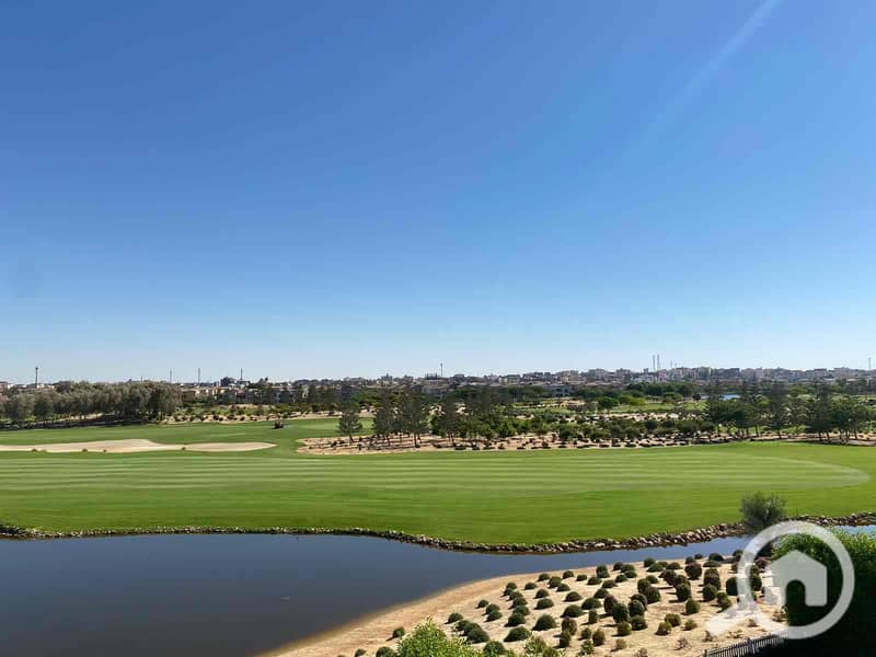 13 2486b4d7-7e6e-4c09-a29d-665b0c8574d2. jpg