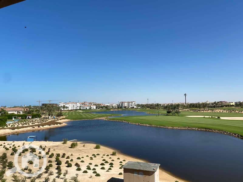 17 62467d28-c91f-4cdb-ab2e-57a77ab9679b. jpg