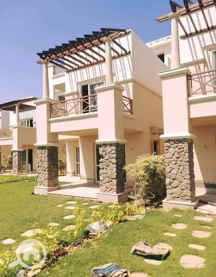 2 photo_2025-02-19_21-52-09. jpg