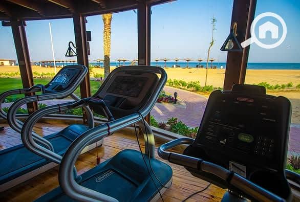 5 484991447_1705603806732785_732830141232470527_n. jpg