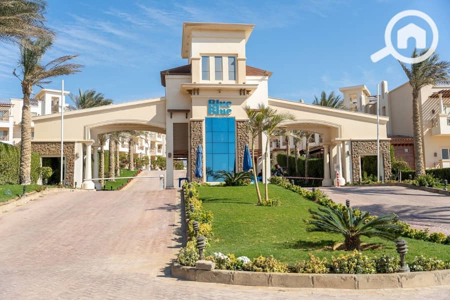 10 photo_2025-02-19_21-50-18. jpg