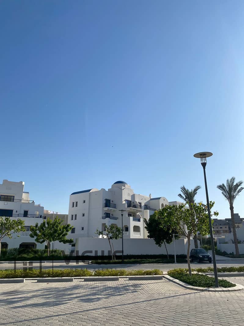 WhatsApp Image 2024-10-11 at 2.12. 50 AM. jpeg WhatsApp Image 2024-10-11 at 2.12. 50 AM. jpeg