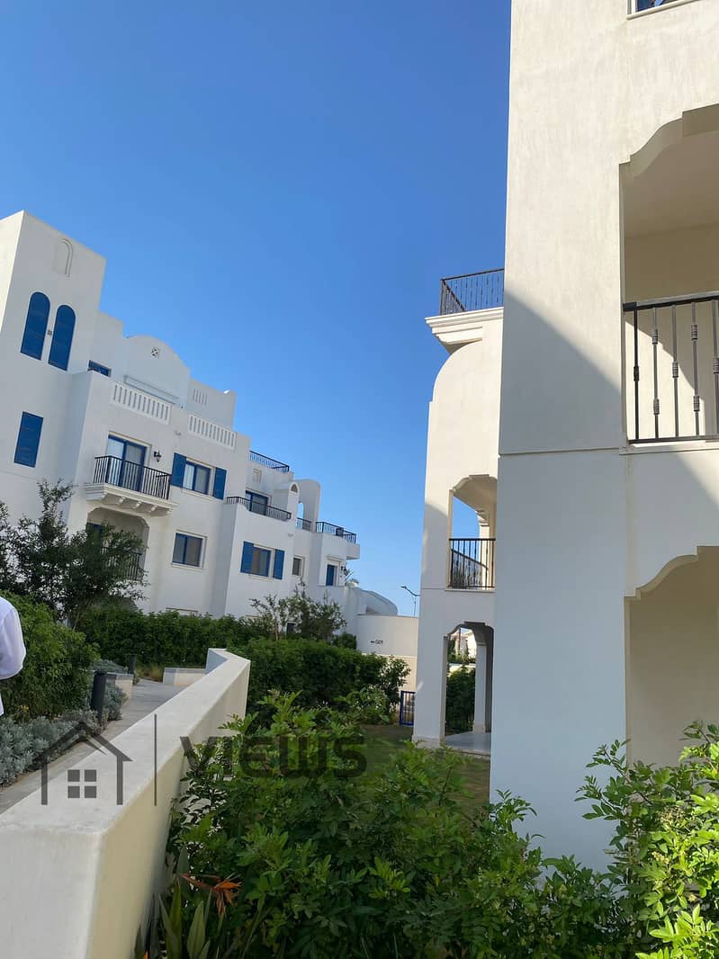 3 WhatsApp Image 2024-10-11 at 2.12. 51 AM. jpeg