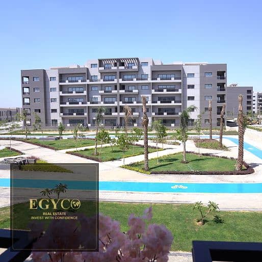 3 Stoda-website1. jpg