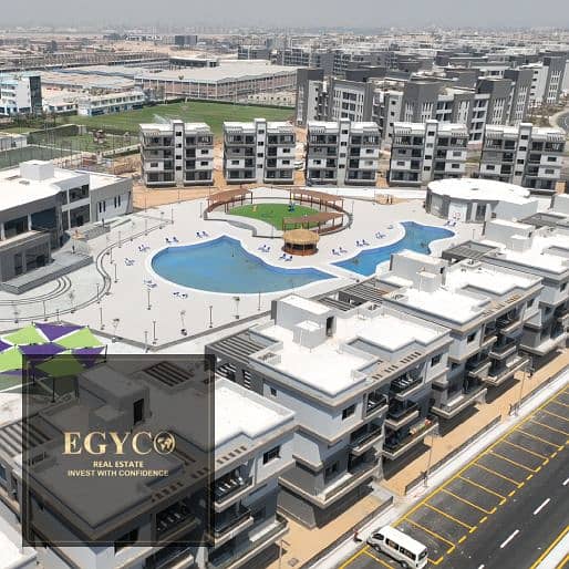 5 Stoda-website4. jpg