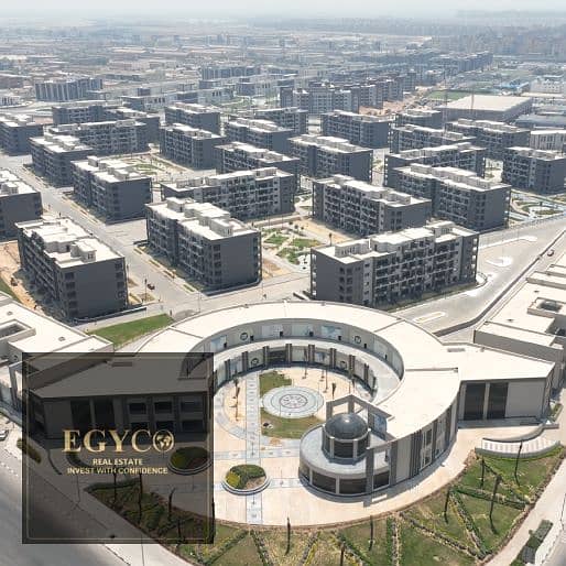 6 Stoda-website5. jpg