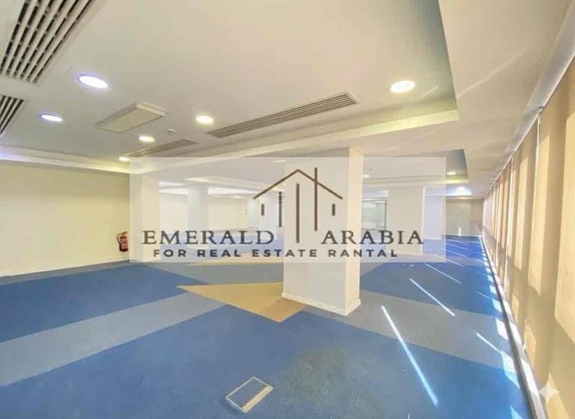 6 5aecf5df-08a7-4b56-986d-caeafabb7d70. jpg