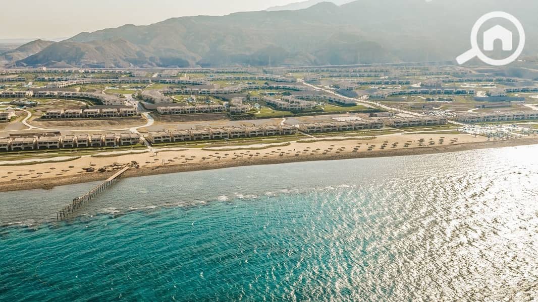 10 photo_2025-03-24_22-12-06. jpg