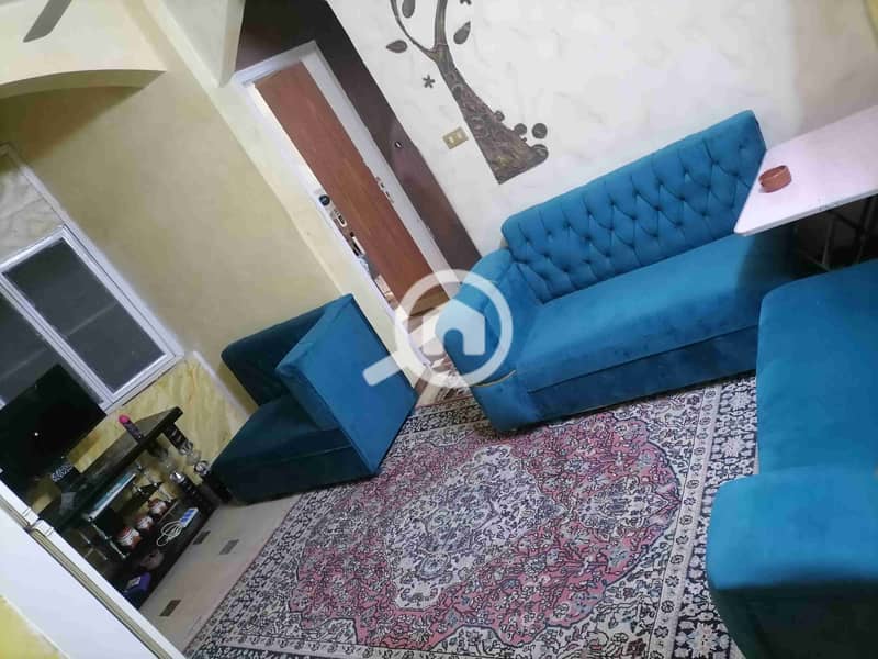 13 IMG_20250110_193459. jpg