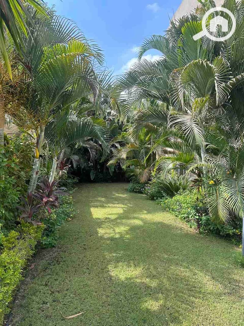 7 IMG-20250923-WA0033. jpg