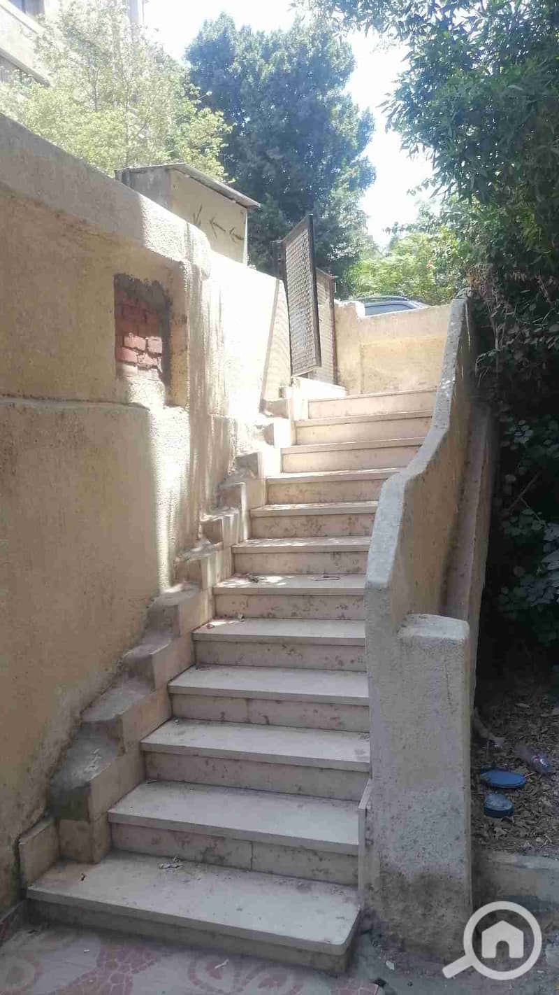 8 IMG_20250809_134013. jpg