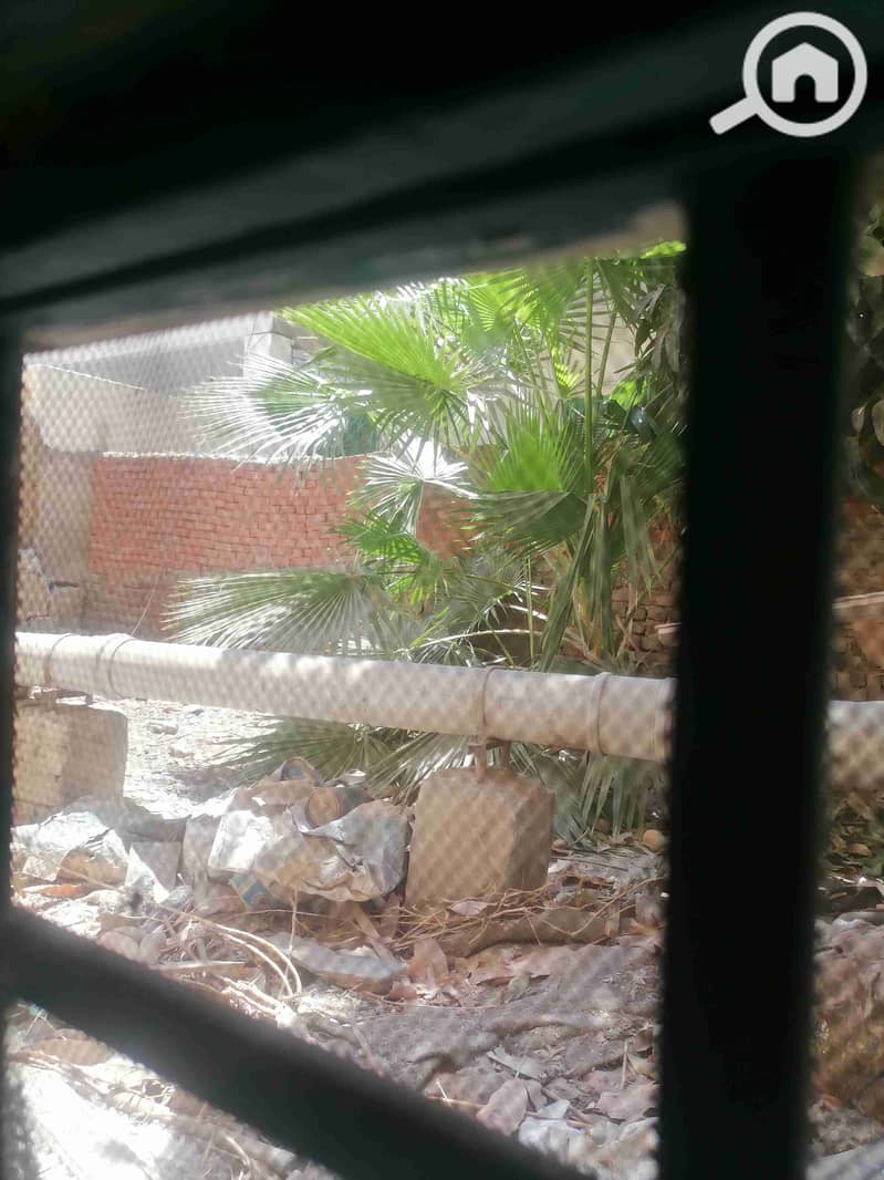 10 IMG_20250809_134039. jpg