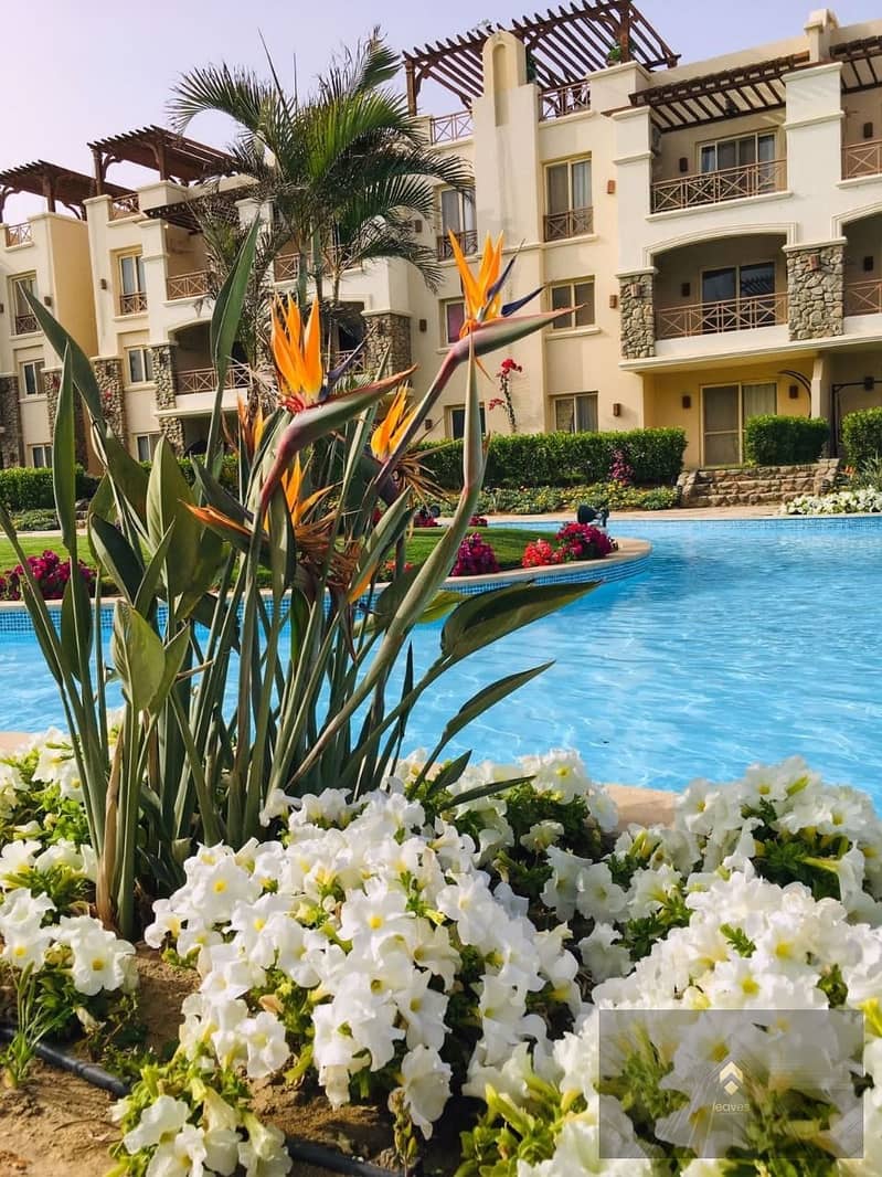 4 9dde17f9-bab2-4631-9267-7bc072b2230f. jpg