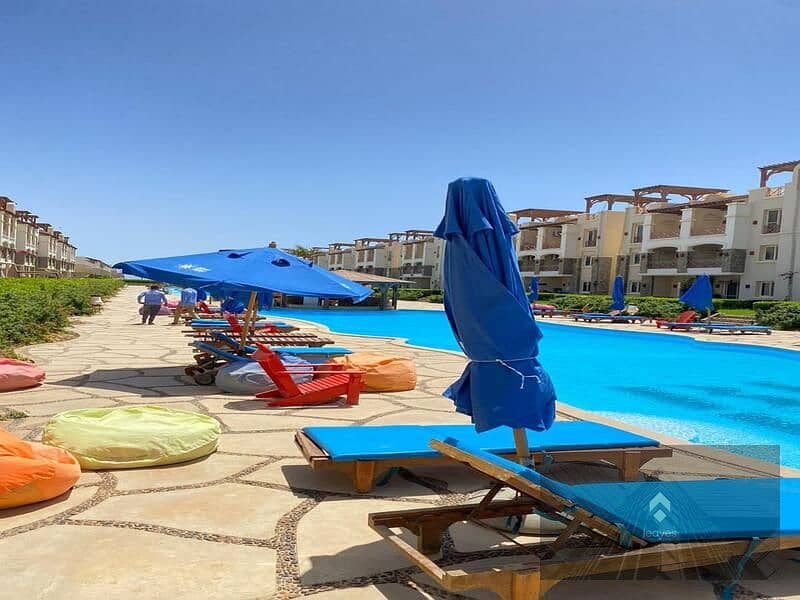 6 334c76e5-c11d-48ed-8fa8-086b65359048. jpg