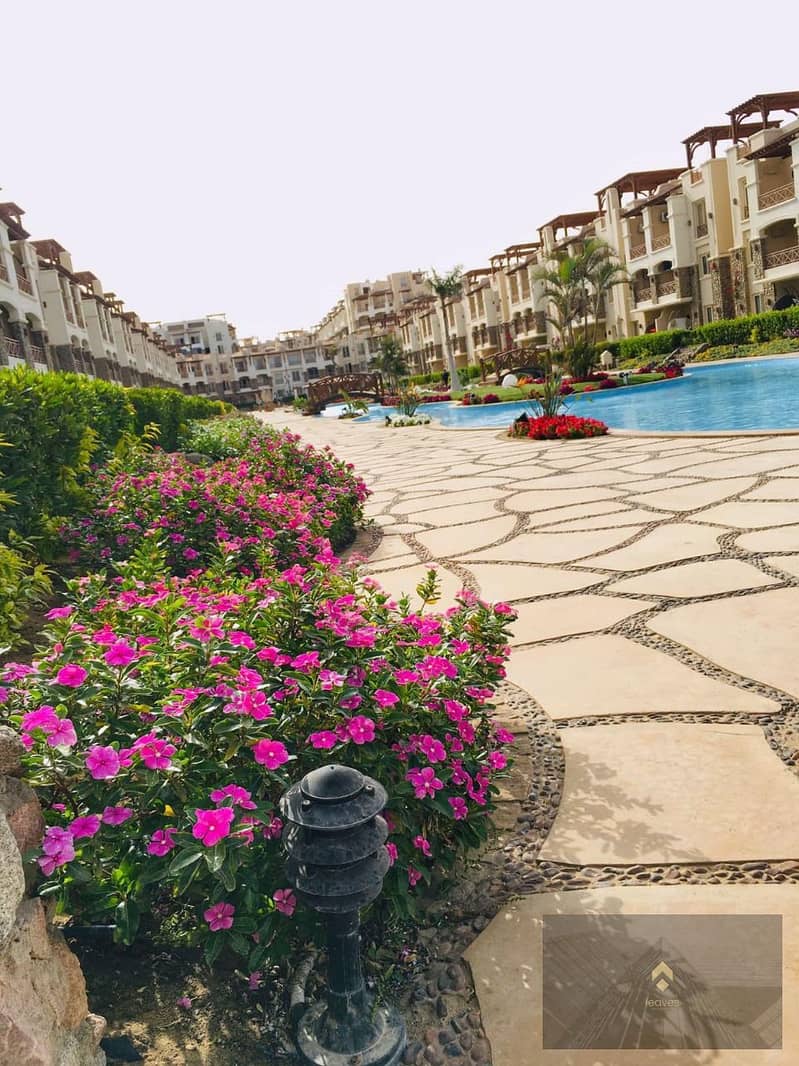 8 ef51f715-2f00-481b-af12-e26b5cb1d87e. jpg