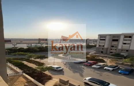 3 Bedroom Flat for Sale in New Cairo, Cairo - WhatsApp Image 2025-12-01 at 4.19. 50 AM (1). jpeg