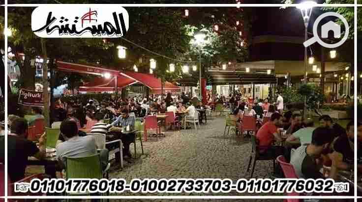 IMG_20230402_032953. jpg