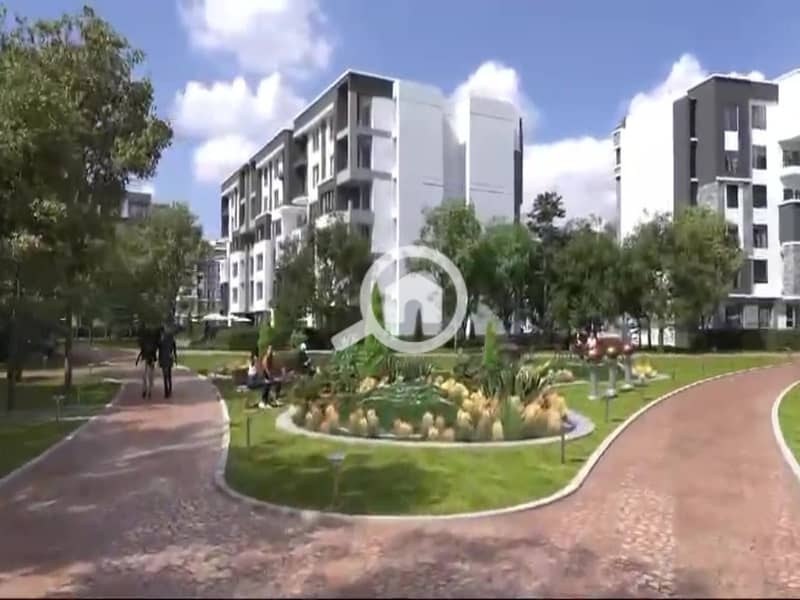 2 vlcsnap-2025-01-12-15h48m24s372. jpg