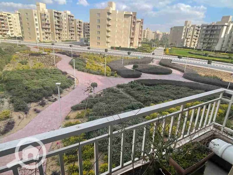 2 FB_IMG_1741241458429. jpg