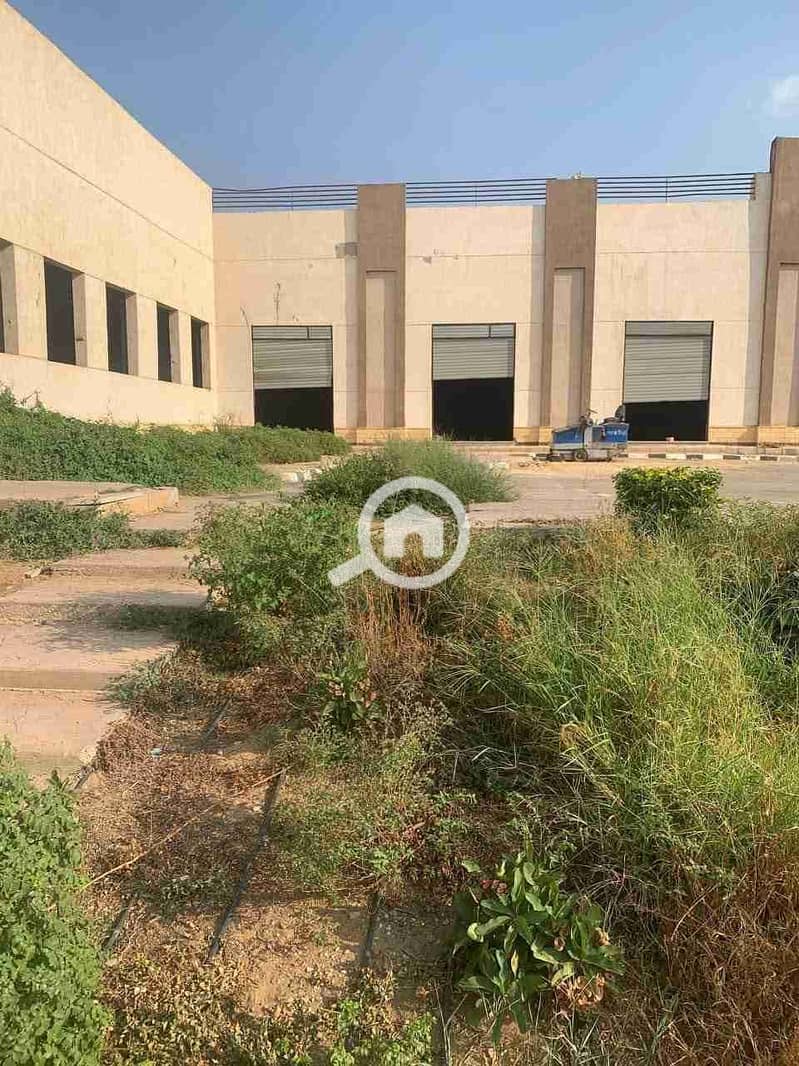 3 FB_IMG_1754968557583. jpg