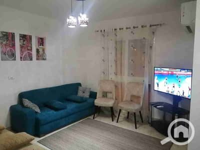 1 Bedroom Apartment for Rent in Madinaty, Cairo - 1000025264. jpg 1 Bedroom Apartment for Rent in Madinaty, Cairo - 1000025264. jpg