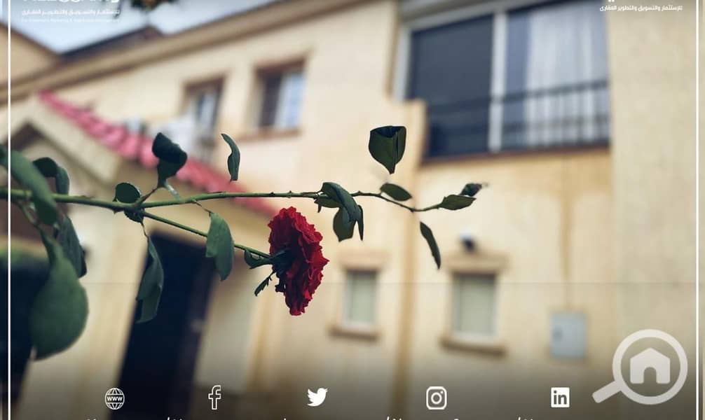 18 WhatsApp Image 2025-09-28 at 1.51. 19 PM (3). jpeg