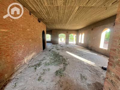 5 Bedroom Villa for Sale in Madinaty, Cairo - WhatsApp Image 2025-02-11 at 11.48. 17 PM. jpeg