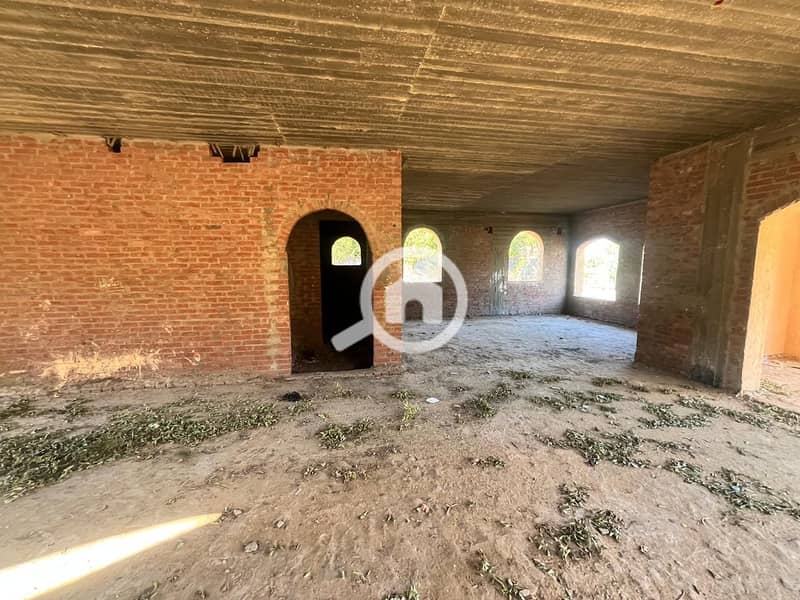 4 WhatsApp Image 2025-02-11 at 11.48. 17 PM (1). jpeg