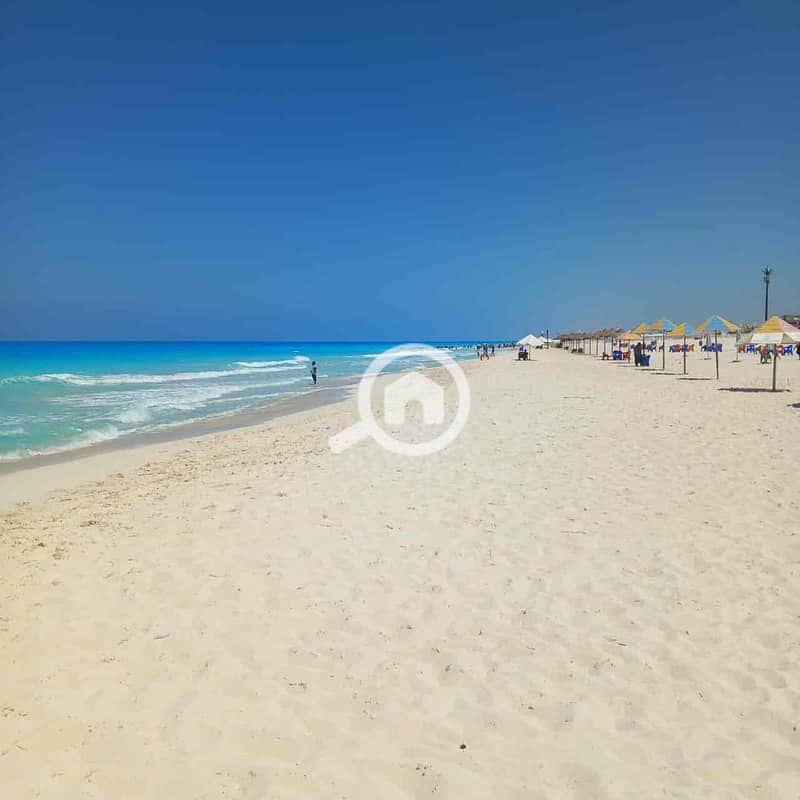 11 42cec996-29ae-4daa-afc6-6fd7e8b7b880. jpg