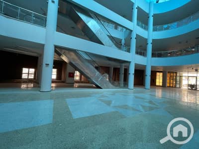 صيدليه  للايجار في الشيخ زايد، الجيزة - IMG-20251012-WA0235. jpg