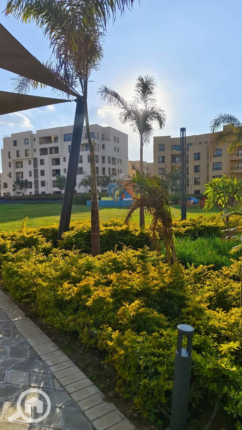 7 489261778_1255555836261885_7767435341475769407_n. jpg