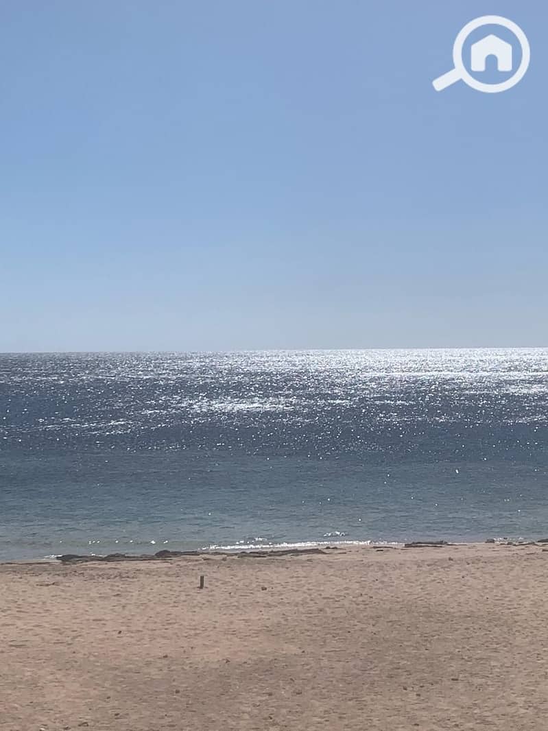 13 1e2bcd88-2d54-4fdc-b04d-5456ba8351cd. jpg