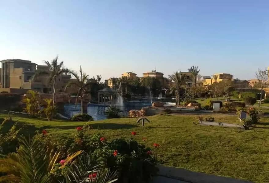 8 c2c93012-bdde-4775-91fb-21ae05e09884. jpg