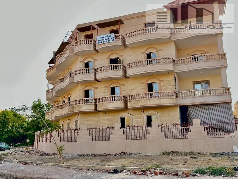 10 WhatsApp Image 2025-07-30 at 13.16. 06_19222a45. jpg