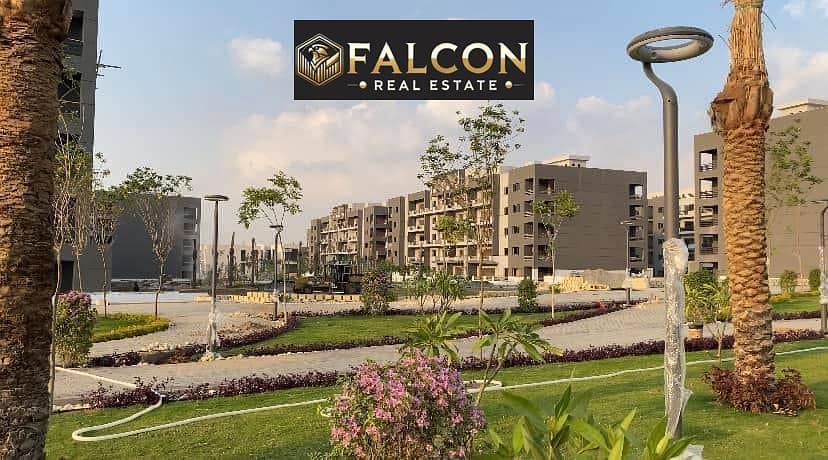 11 472740376_122185877618170009_6308286668092515978_n. jpg