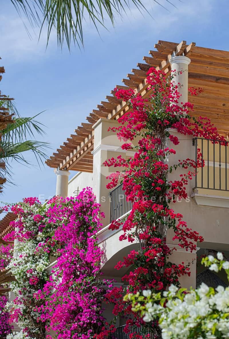 14 WhatsApp Image 2025-11-23 at 3.38. 38 PM. jpeg