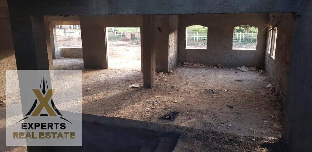 10 d5078652-effd-4866-8726-6ddb5581171a. jpeg