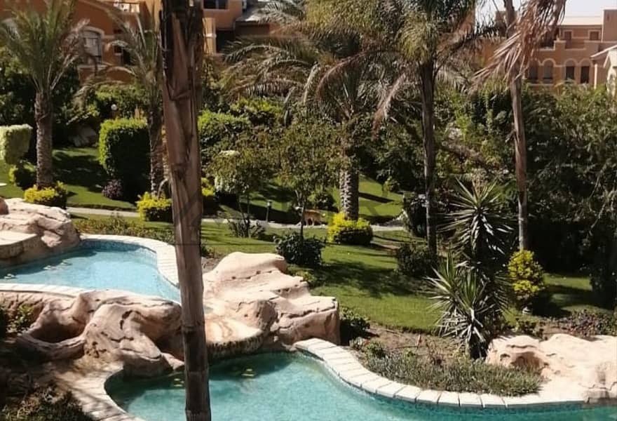 6 0cda0120-1af3-4ceb-96b6-88dc31a17940. jpg