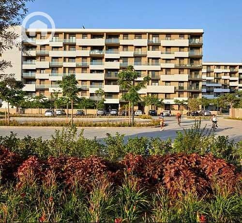 2 WhatsApp Image 2025-09-03 at 12.50. 48 PM (5). jpeg