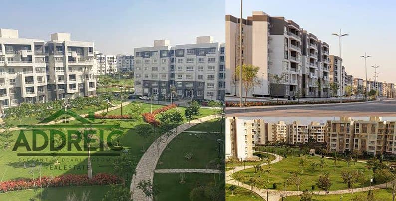 8 289035812_5096146283814997_2868011404062267423_n. jpg