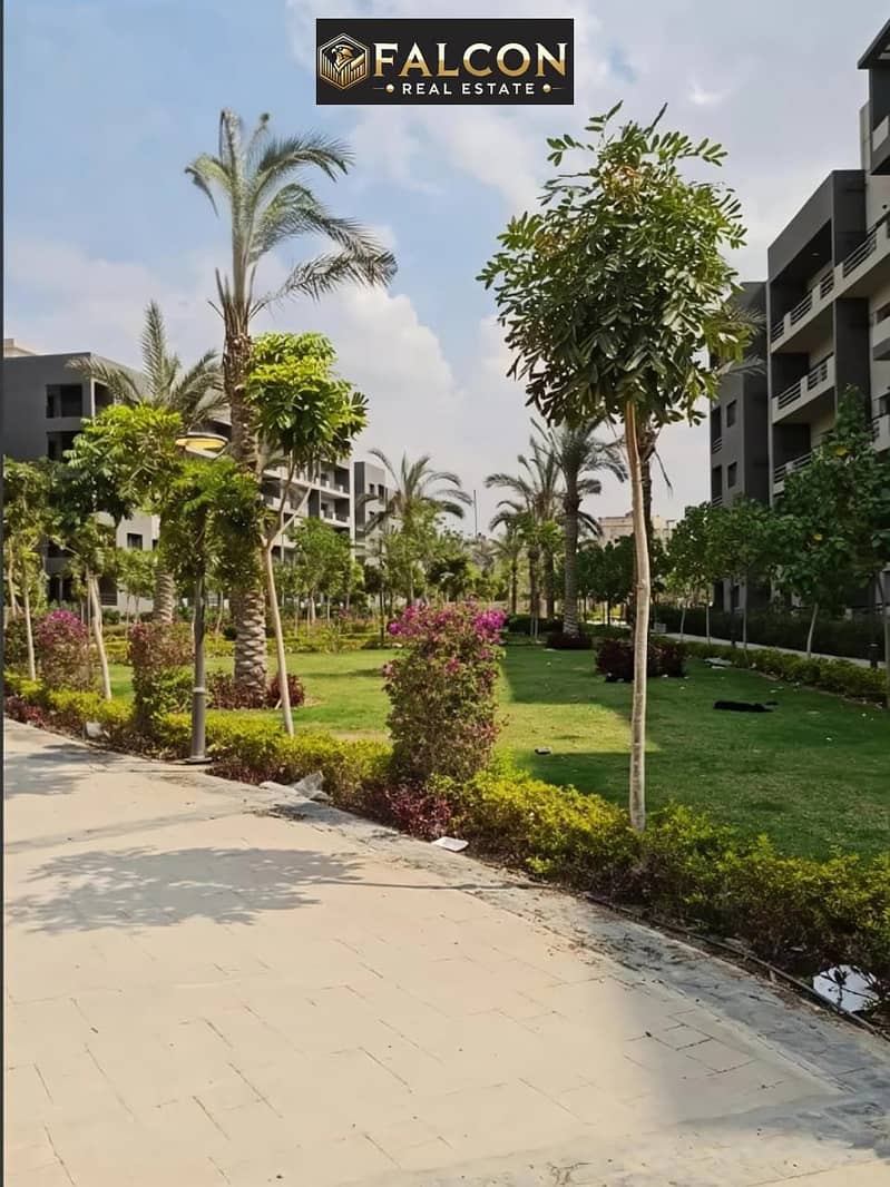 5 ff6b7c00-770e-4885-9f25-97679537433c. jpg